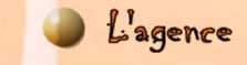 l'agence tenerte voyages, votre aventure , agadez niger